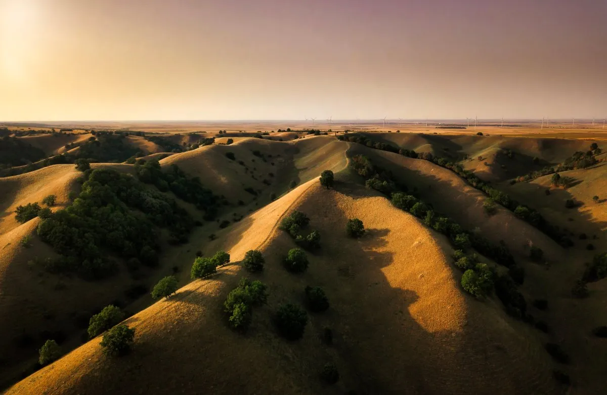 An aerial view of the rolling sand hills of Zagajica at the Deliblato Sands in warm, low light, with scattered trees and the flat plain on the horizon.